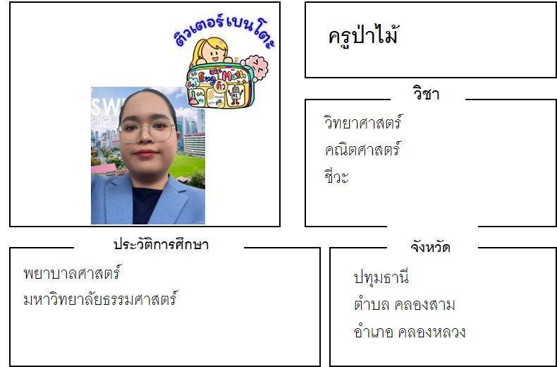 tutorbento.com ป่าไม้