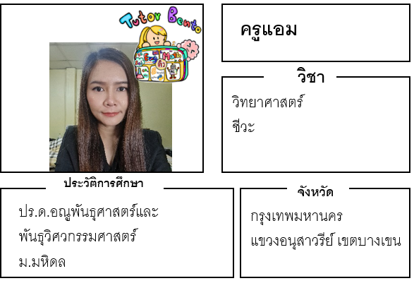 ติวเตอร์เบนโตะ-แอม ติวเตอร์เบนโตะ-แอม