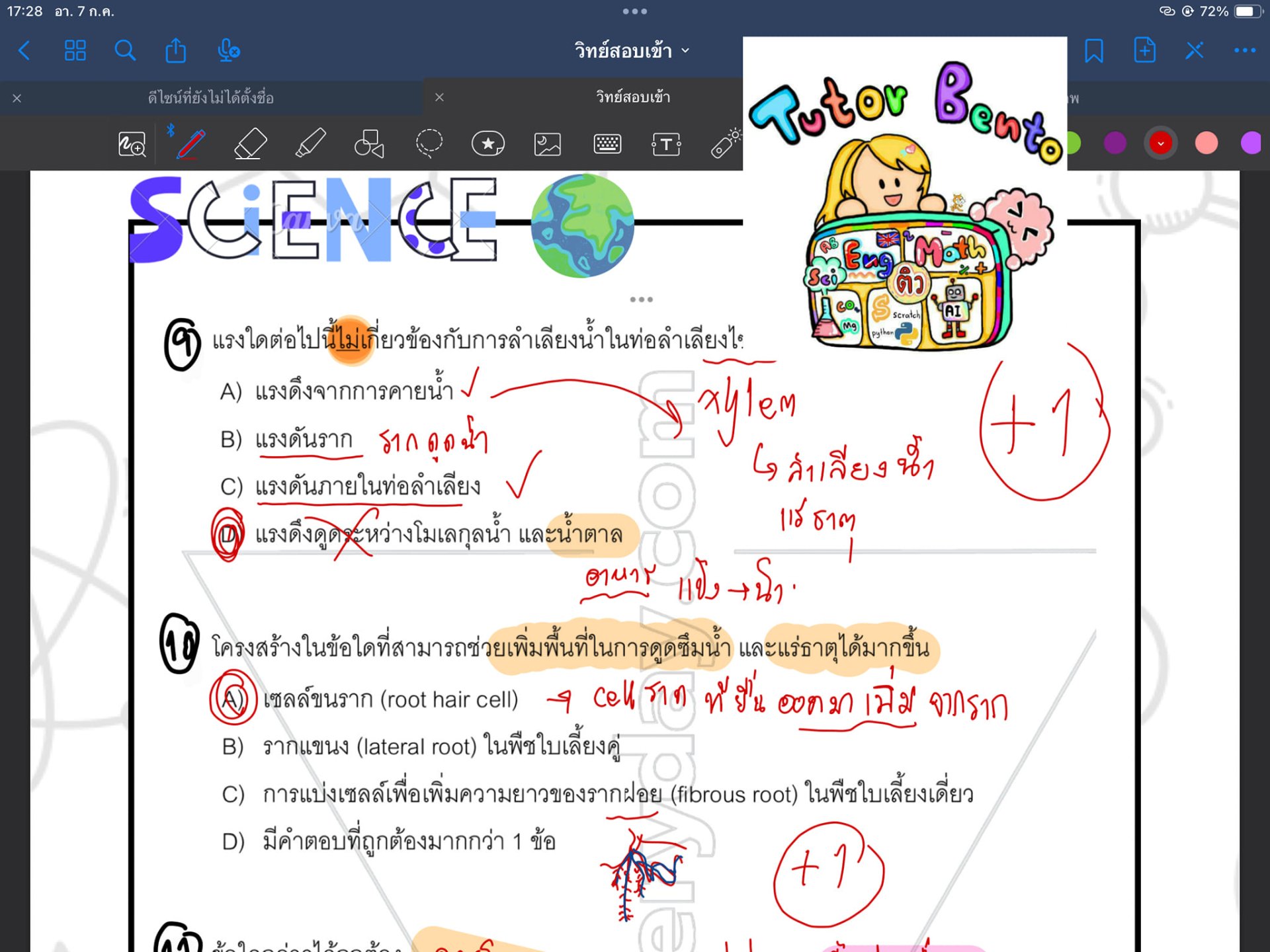 สอนพิเศษออนไลน์ สอนพิเศษออนไลน์