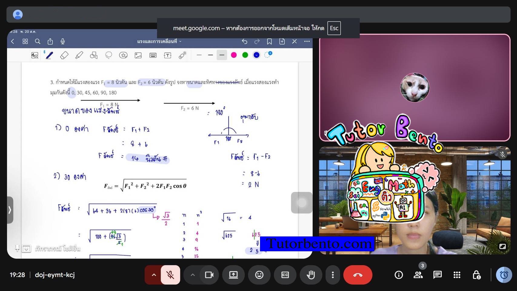 tutorbneto.com รีวิว