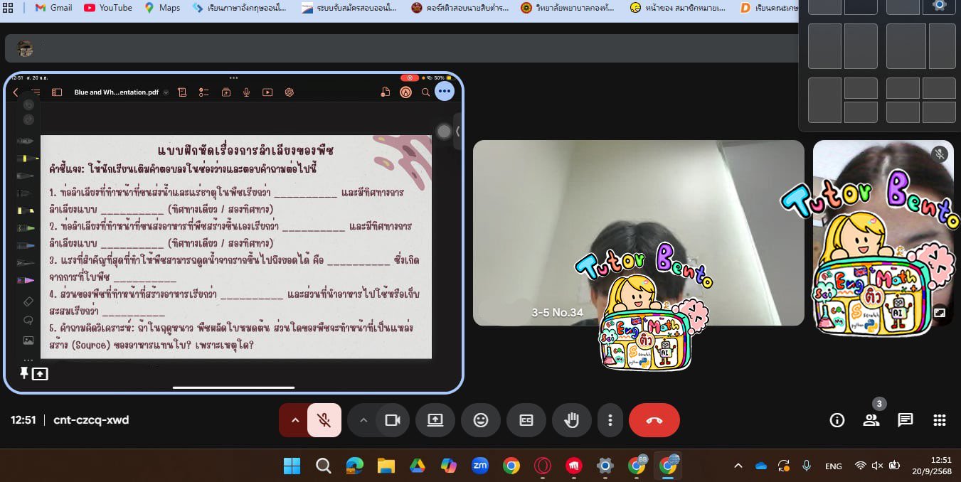 tutorbento.com รีวิว