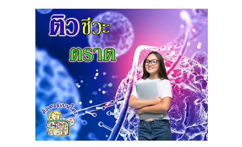 ติวชีวะตราด ติวชีวะตราด