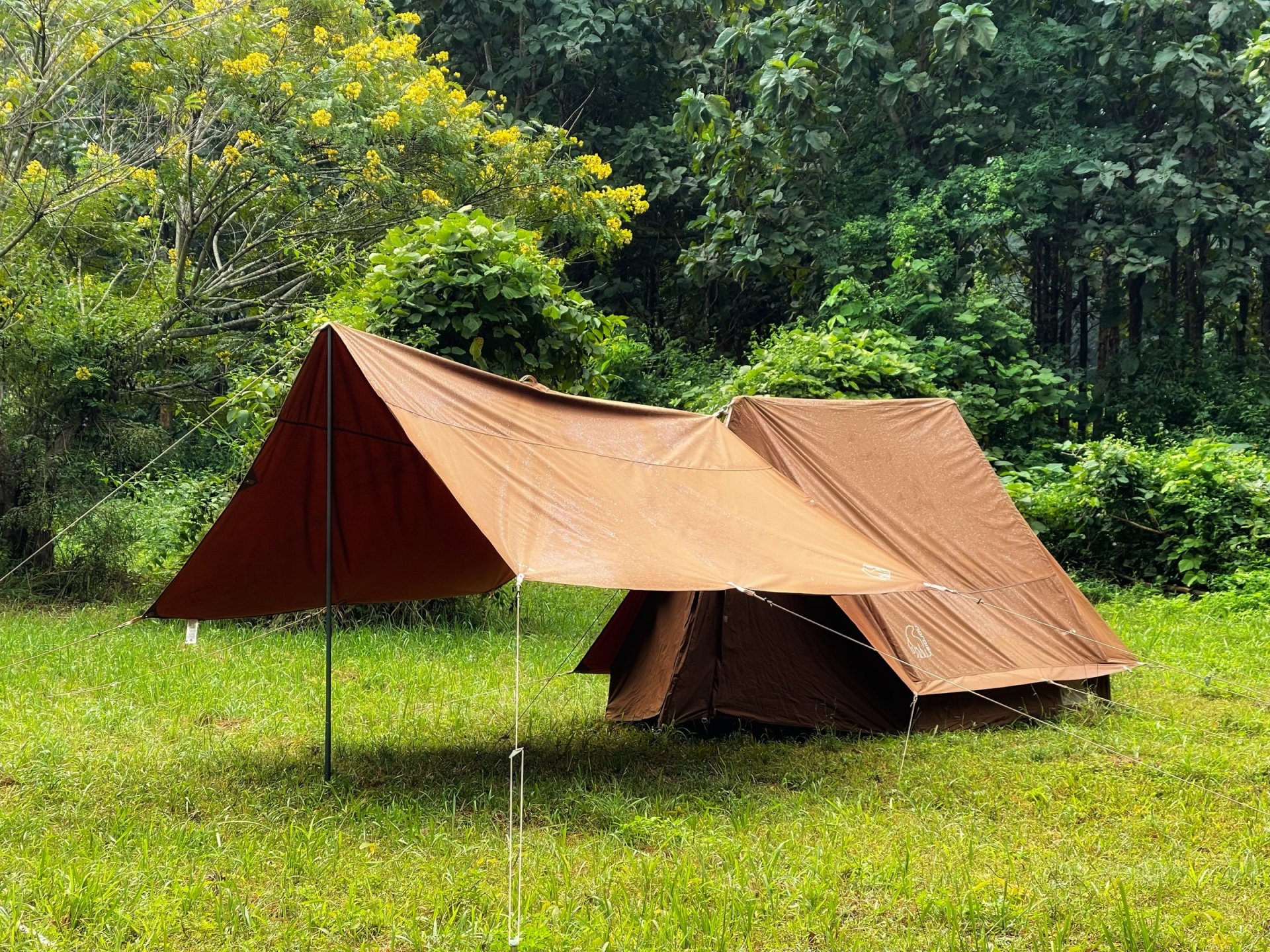 Nordisk Vimur 5.6 Tent Chocolate Brown