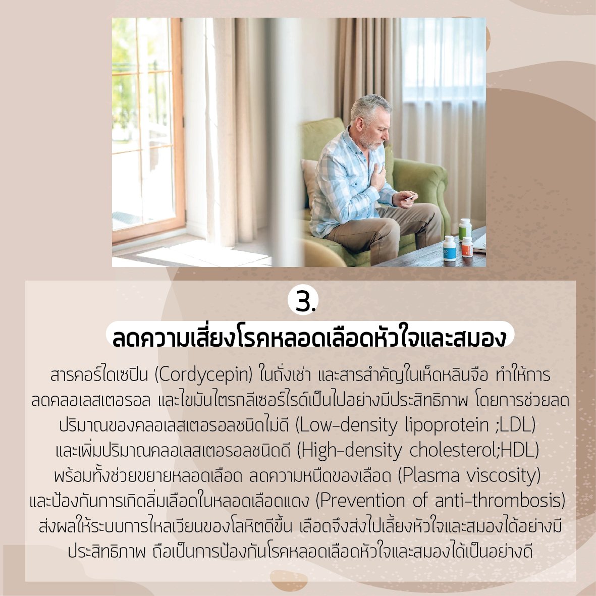 ถังเช่า