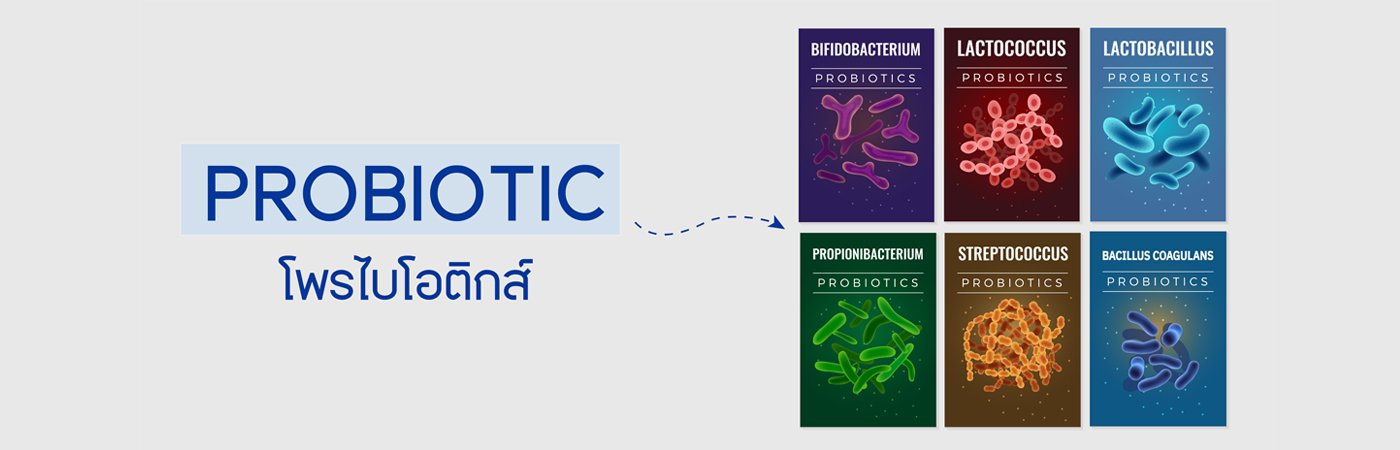 โพรไบโอติก