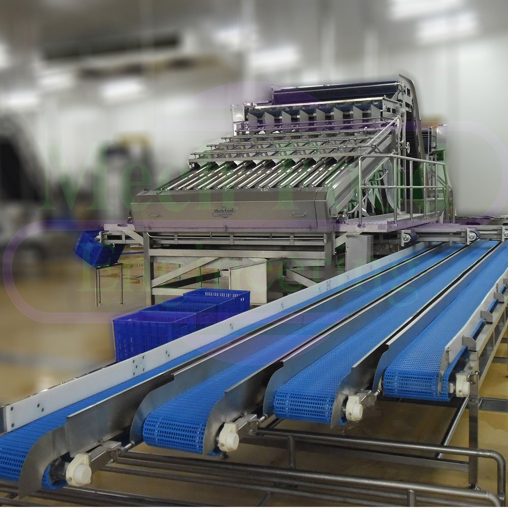 GRADING MACHINE - mechfood