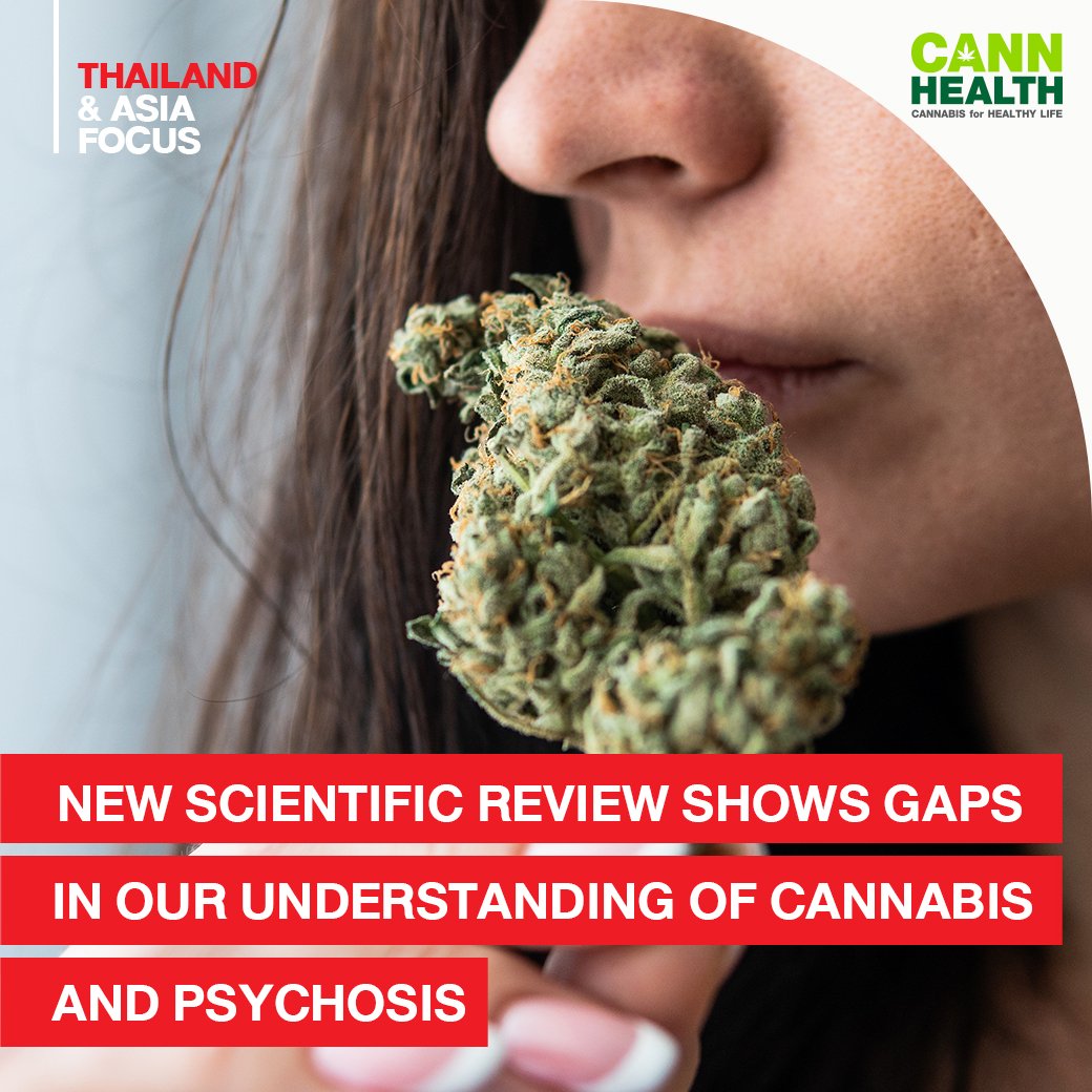 new-scientific-review-shows-gaps-in-our-understanding-of-cannabis-and