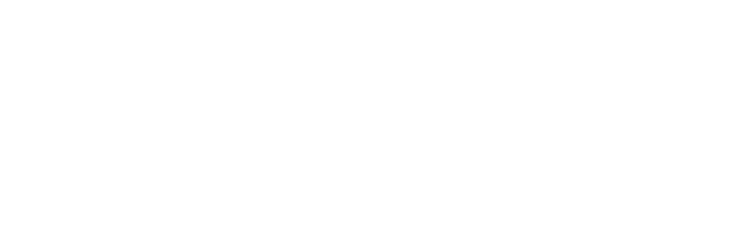 โลโก้ — Penthouse Design Group