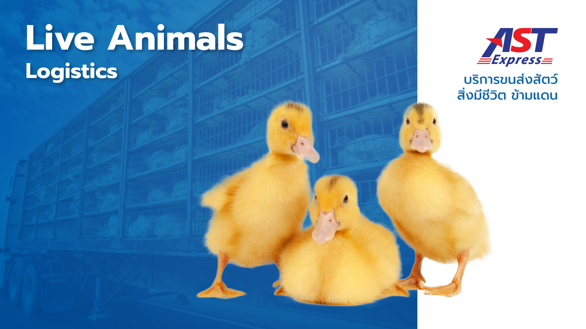 Live Animals Logistics - astexpress