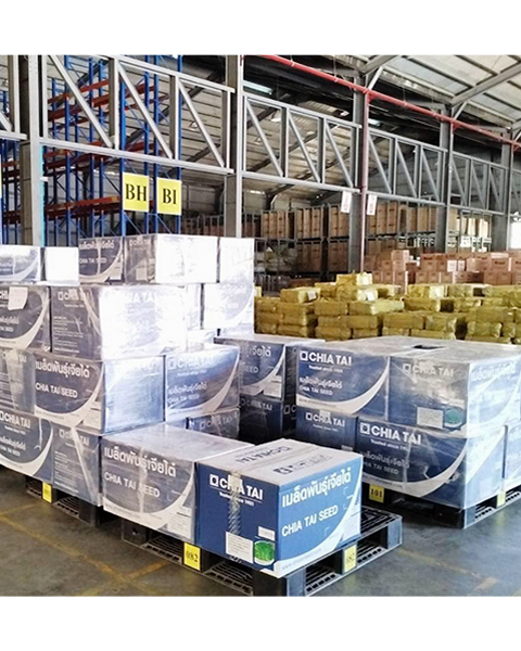 International Freight Forwarding Company – AST Express