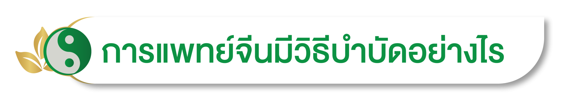 การแพทย์จีน