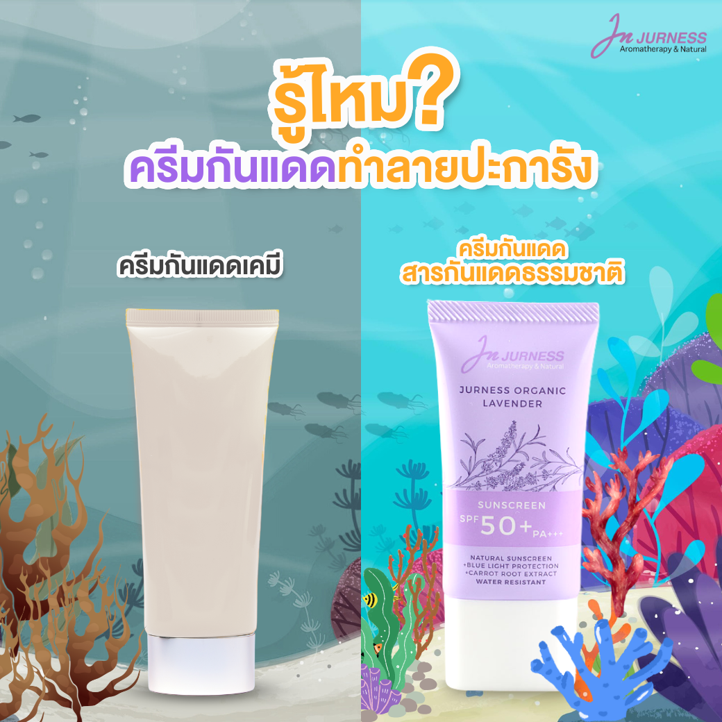 Chemical Sunscreen destroy reef !