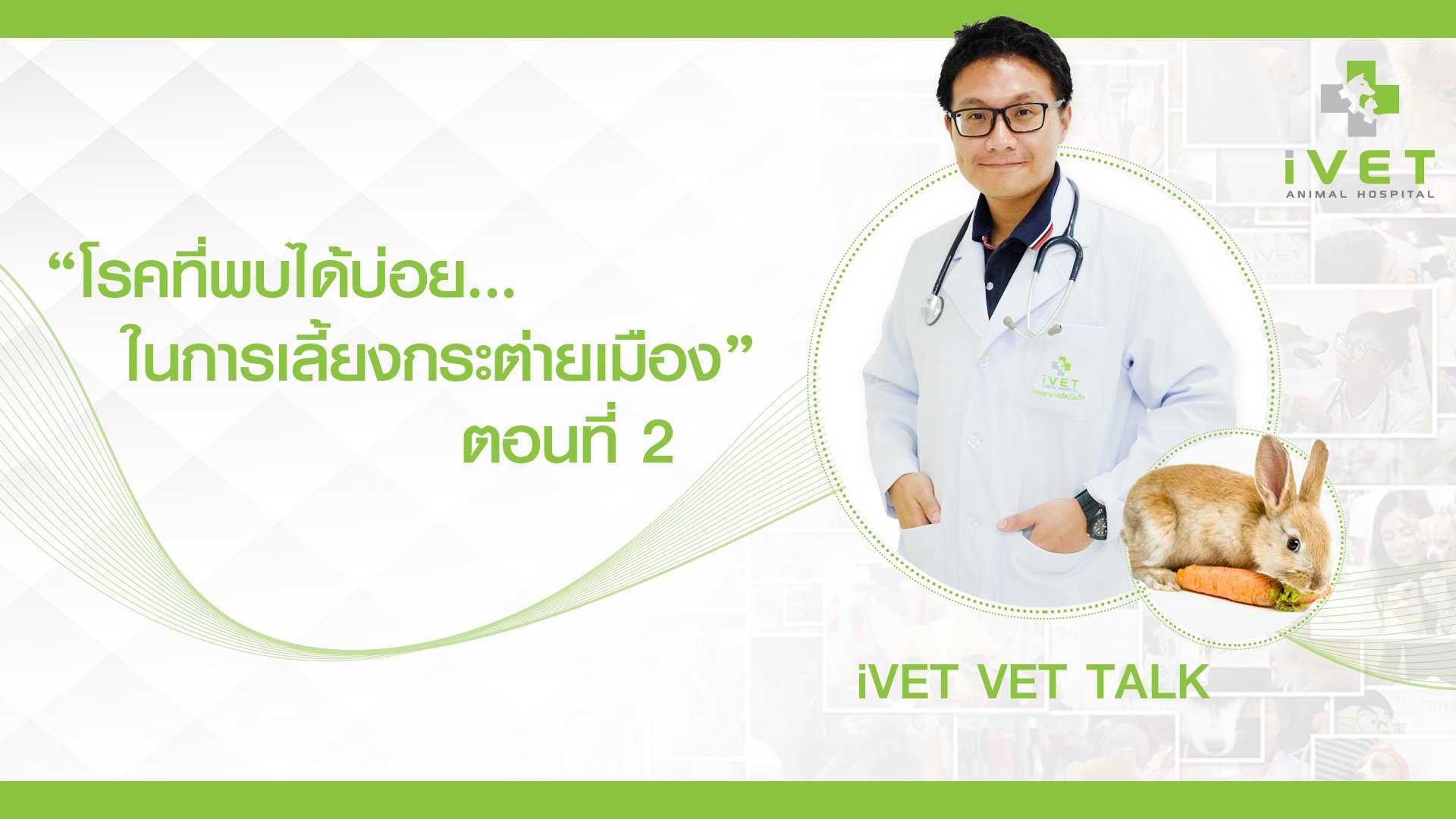 โรคที่พบบ่อยในการเลี้ยงกระต่ายเมือง ตอนที่ 2