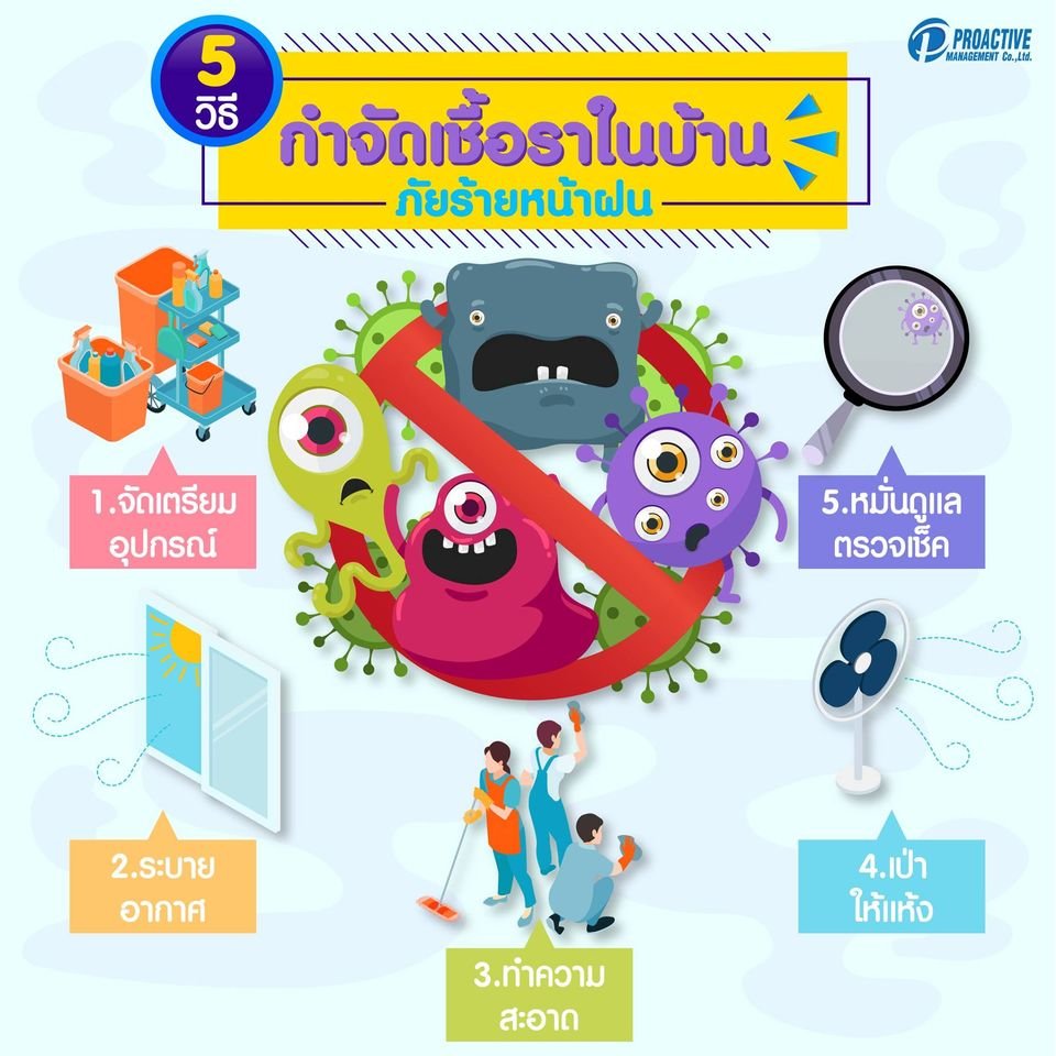5 วิธี กำจัดเชื้อราในบ้าน เชื้อราหน้าฝน