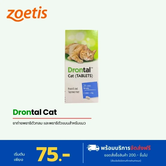 Drontal cat