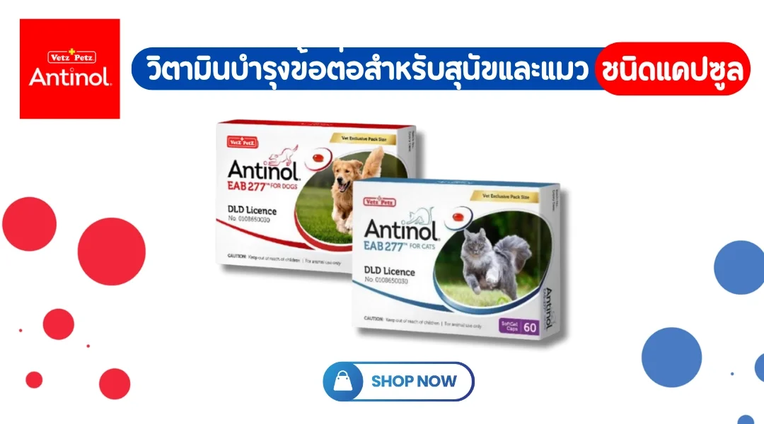 Antinol