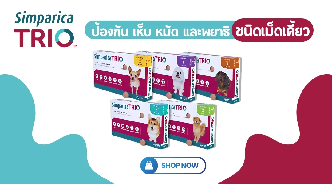 Simparica Trio