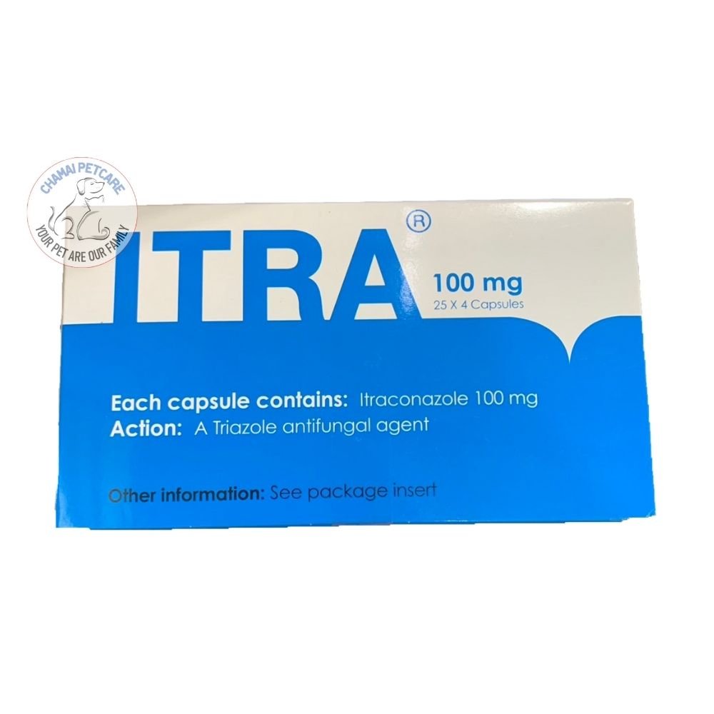 ITRA | ยากินรักษาเชื้อรา ยับยั้งการแพร่กระจายของเชื้อรา
