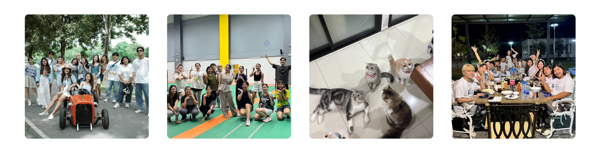 Rada Richness Digital Marketing Agency ผู้ช่วยด้านการตลาดและผลิตสื่อวงจร Rada Richness Digital Marketing Agency ผู้ช่วยด้านการตลาดและผลิตสื่อวงจร