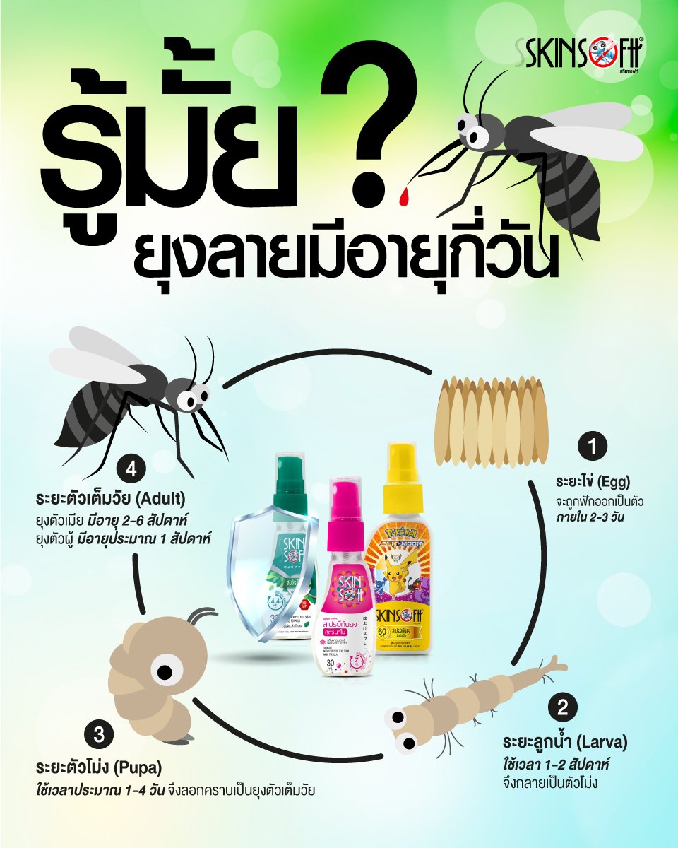 ยุงลายมีอายุกี่วัน  ยุงลายมีอายุกี่วัน