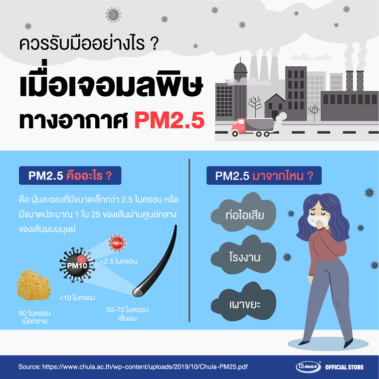 เราควรรับมืออย่างไร? เมื่อเจอมลพิษทางอากาศ PM2.5