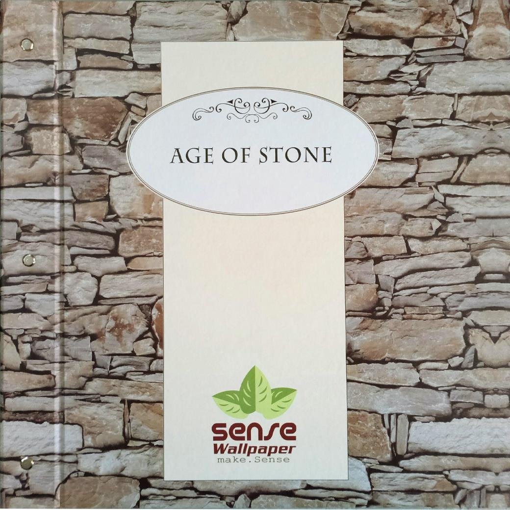 Age of stone 