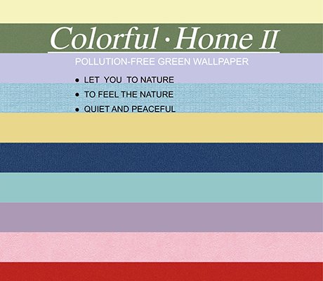 Colorful Home II