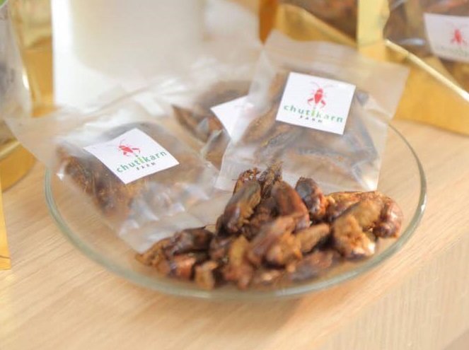 Eating crickets can be good for your gut, according to new clinical trial
