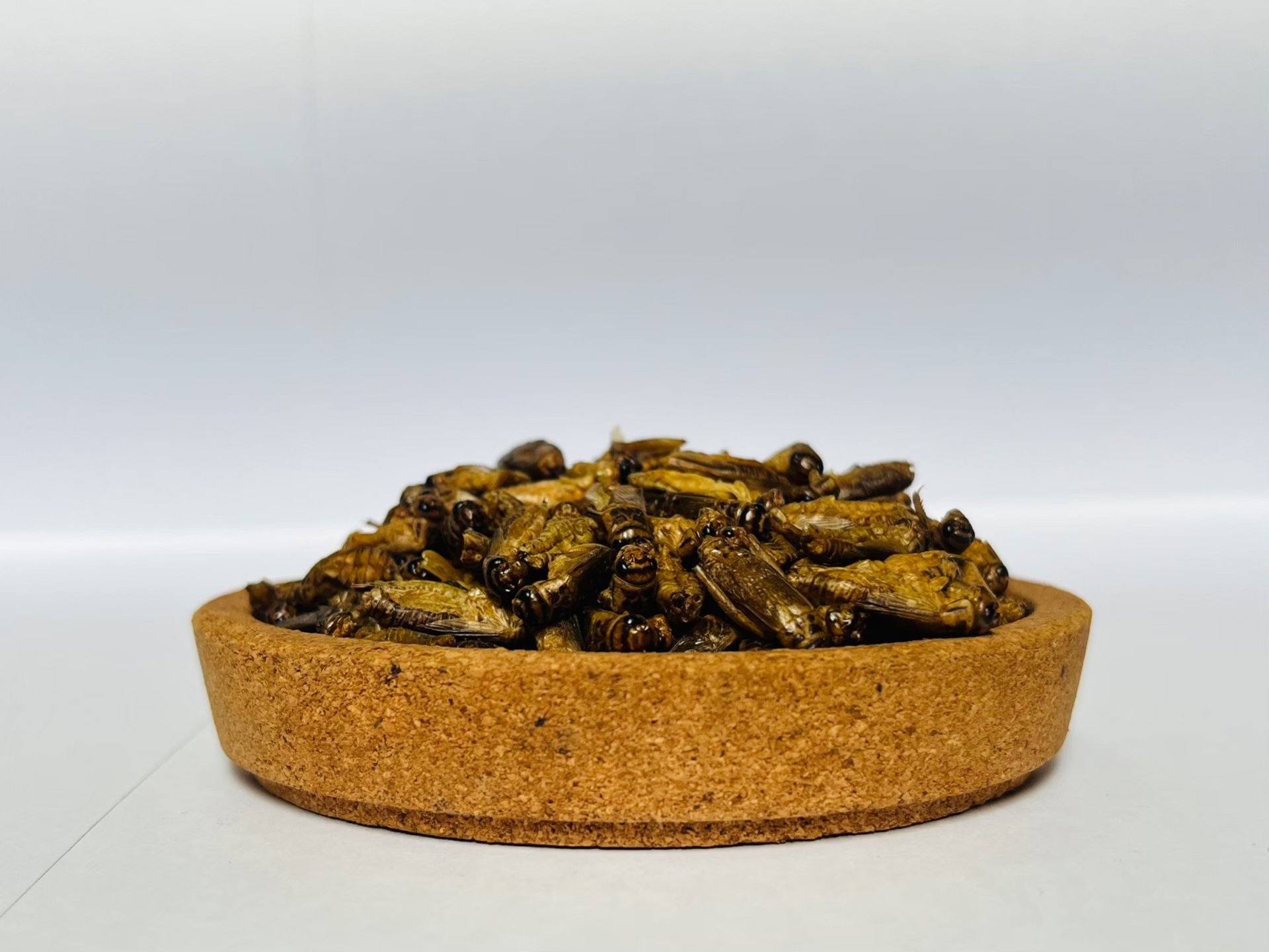 Will eating insects save the planet?