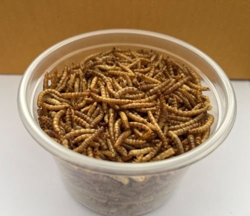 Dried Mealworm Nutrition Value