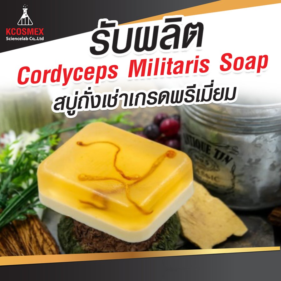 รับผลิต Cordyceps Militaris Soap