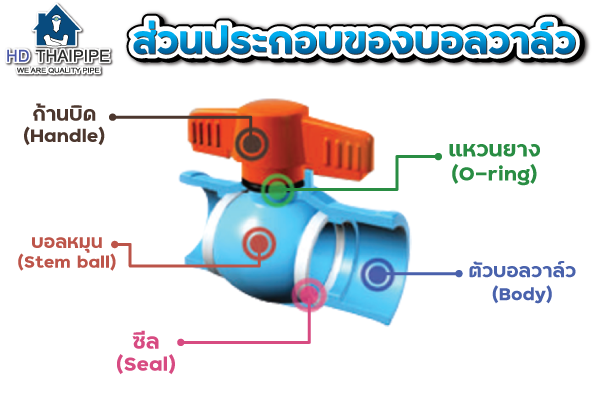 ส่วนประกอบ บอลวาล์ว ส่วนประกอบ บอลวาล์ว
