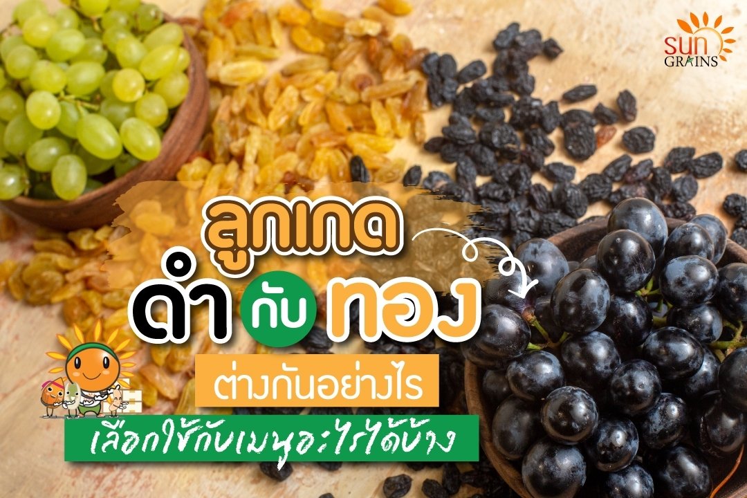 ลูกเกดดำกับทอง ต่างกันอย่างไร ? เลือกใช้กับเมนูอะไรได้บ้าง