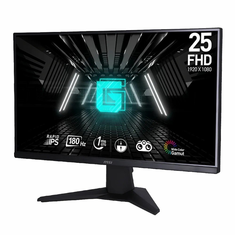 MSI Brasil - Monitor Gamer G255F
