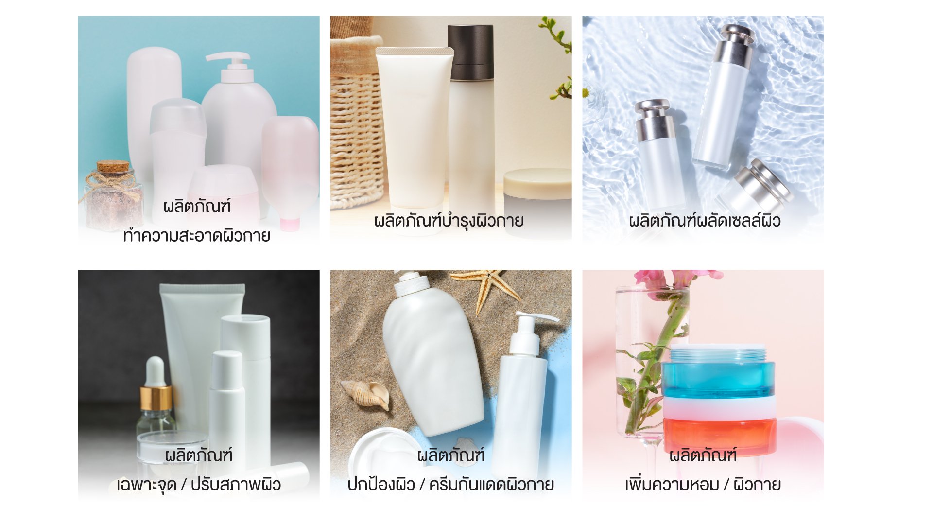 ประเภทผลิตภัณฑ์ Body Care