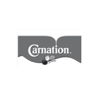 carnation