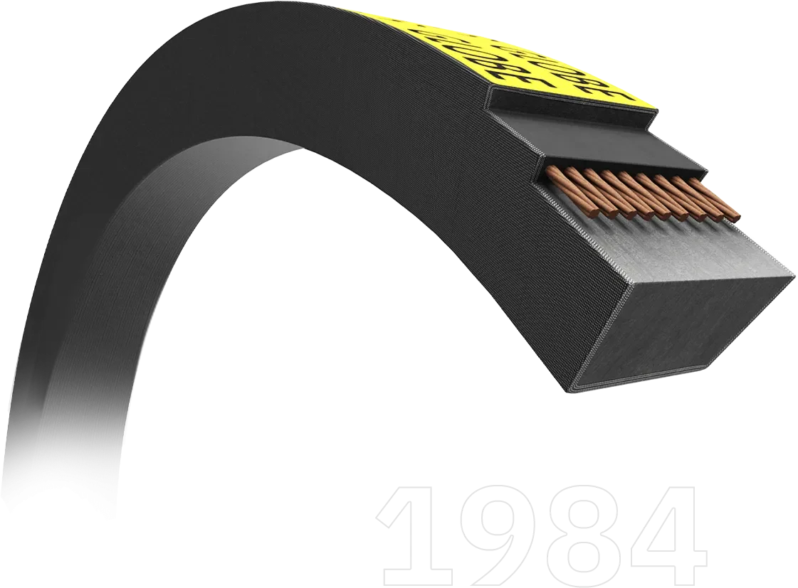 บริษัท ตั้งง้วนเซ้งอิมปอร์ต (1984) จำกัด จัดจำหน่ายสายพาน สายยาง และสายส่งน้ำ คุณภาพสูง บริษัท ตั้งง้วนเซ้งอิมปอร์ต (1984) จำกัด จัดจำหน่ายสายพาน สายยาง และสายส่งน้ำ คุณภาพสูง