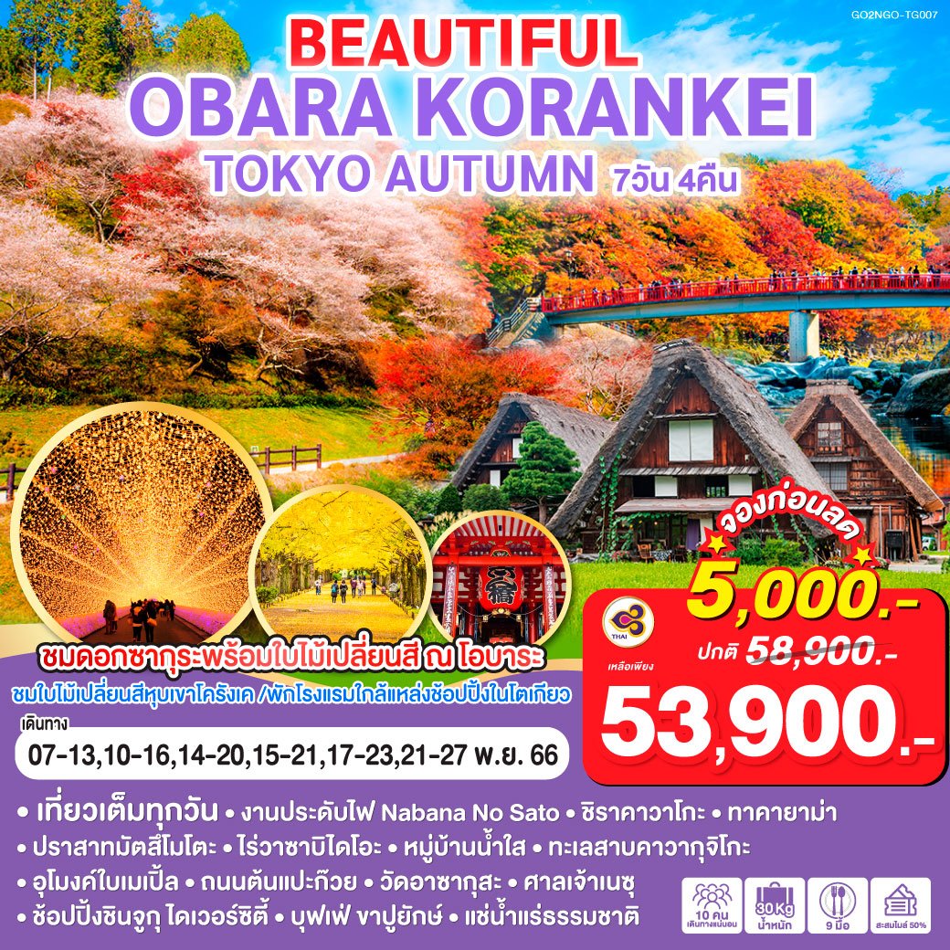 ทัวร์ญี่ปุ่น Obara Korankei โตเกียว ใบไม้เปลี่ยนสี 7 วัน -TG