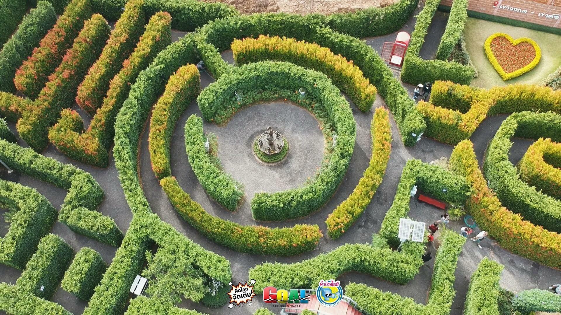 MAZE เขาวงกต เขาค้อ เพชรบูรณ์