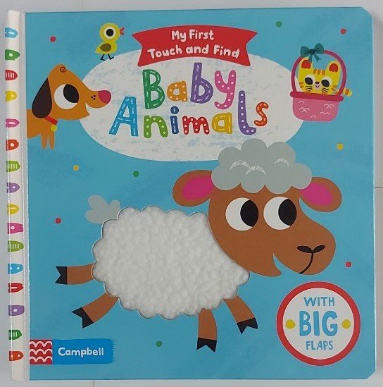 Activities Board Book หนังสือภาษาอังกฤษสำหรับเด็ก ของสำนักพิมพ์ Campbell ชุด My First Touch