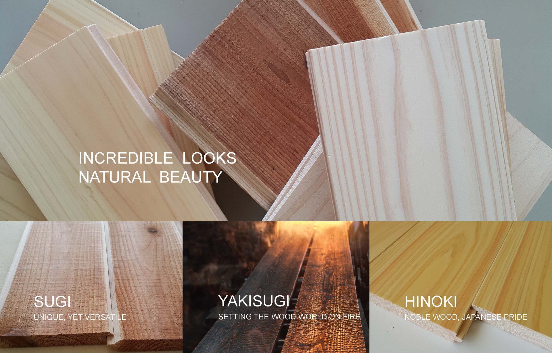 timber-charm - timber-charm