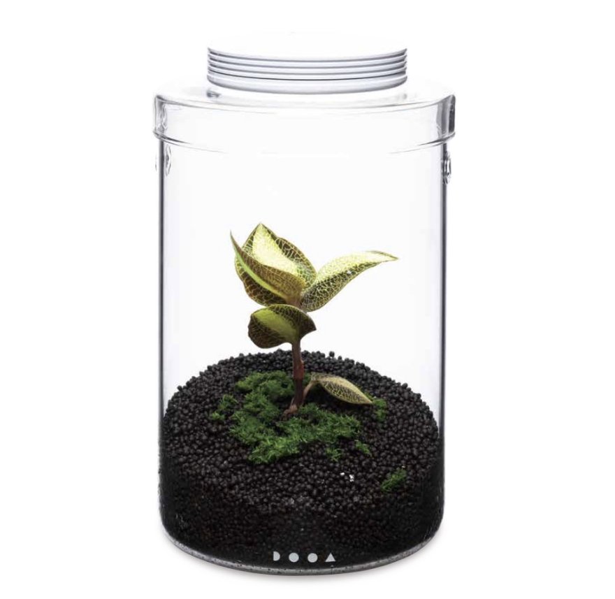 DOOA GLASS POT MARU 130 atlantisjjmarket