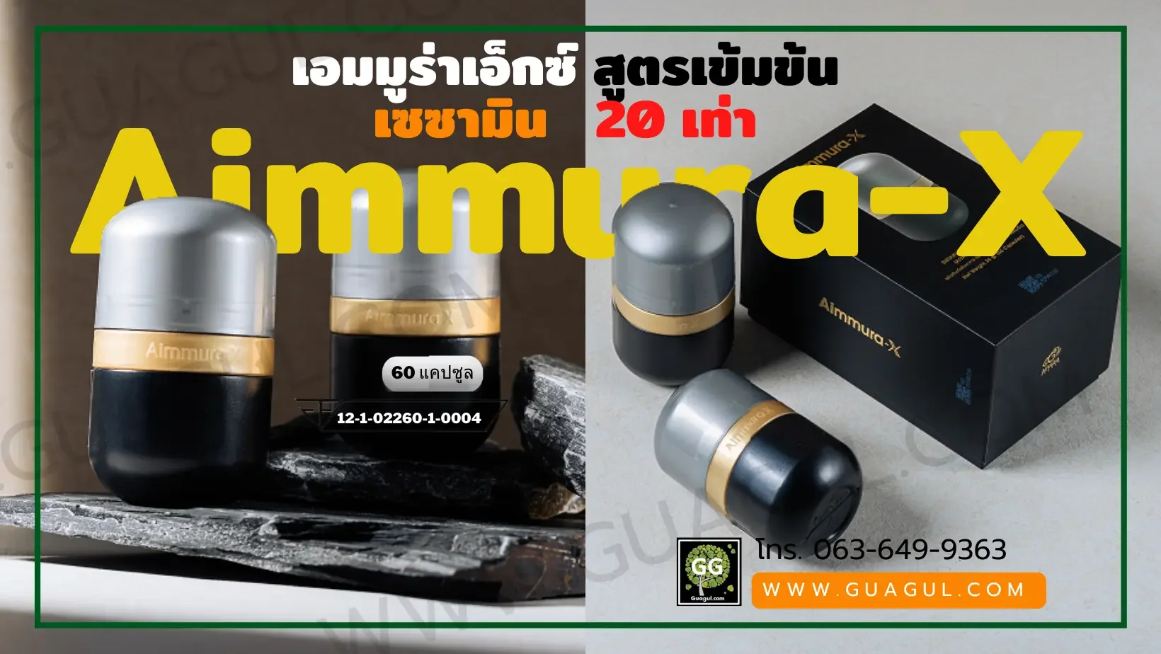 เอมมูร่าเอ็กซ์ Aimmura-X