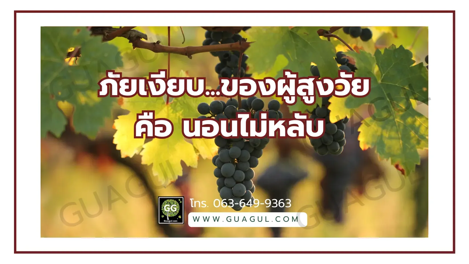 เรสเวอราทรอล