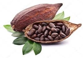 ็็How good is Cocoa for brain? ็็How good is Cocoa for brain?