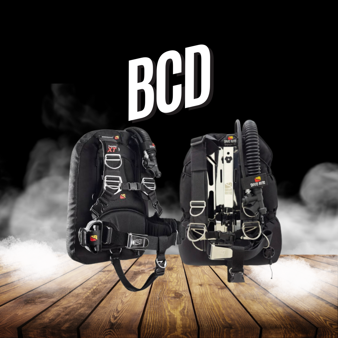 ิเสื้อ bcd