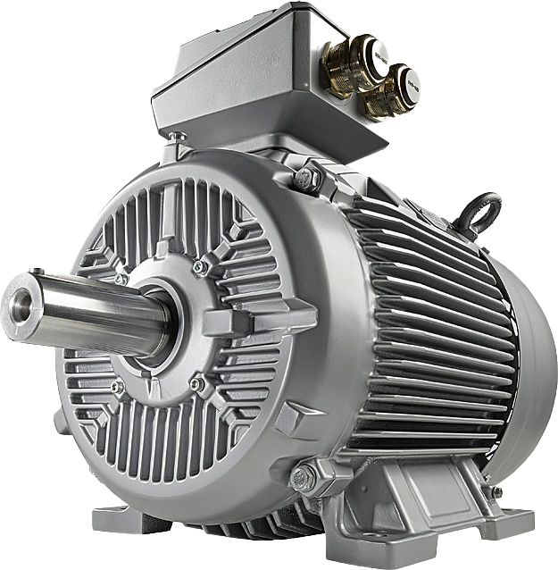 INNOMOTICS MOTORS IE1