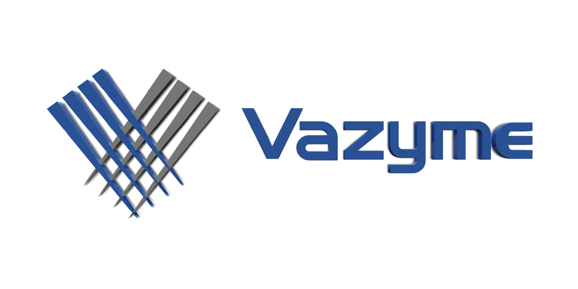 Vazyme
