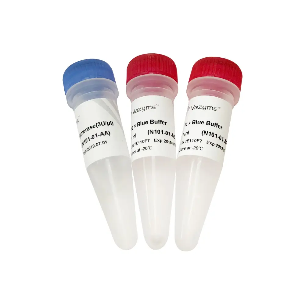 T4 DNA Polymerase N101 (2,000 U) - smartscience