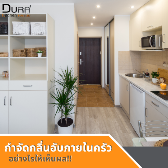 กำจัดกลิ่นอับภายในครัว อย่างไรให้เห็นผล!!!